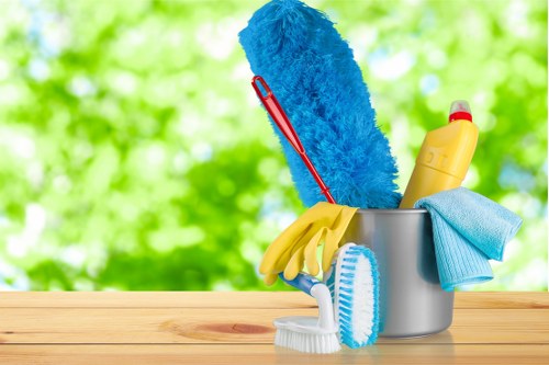 Local pet stain and odour removal service in Queenspark for carpeted homes