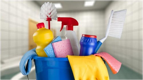Professional steam carpet cleaning in a Queenspark home living room