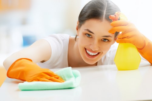 Bathroom domestic cleaning in a Queenspark property