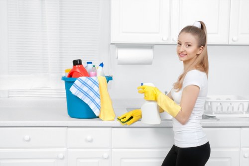 Professional house cleaning service for Queenspark homes