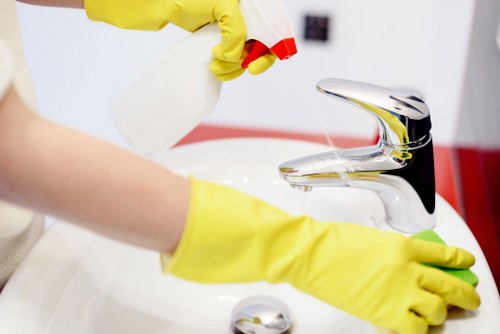 Professional dust removal after renovation work in Queenspark