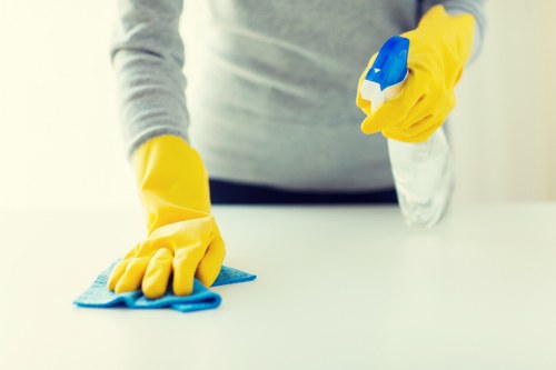 Local window cleaning service for upper-floor windows in Queenspark