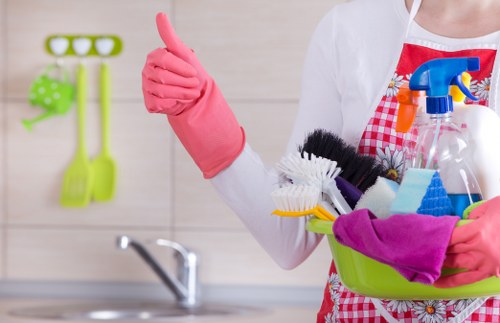 Deep cleaning oven racks and trays in a Queenspark property