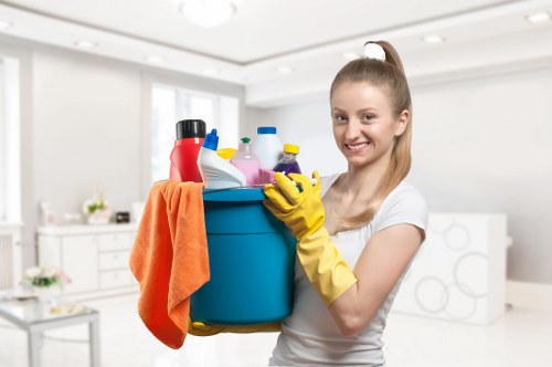 Professional carpet cleaning process in progress inside a home