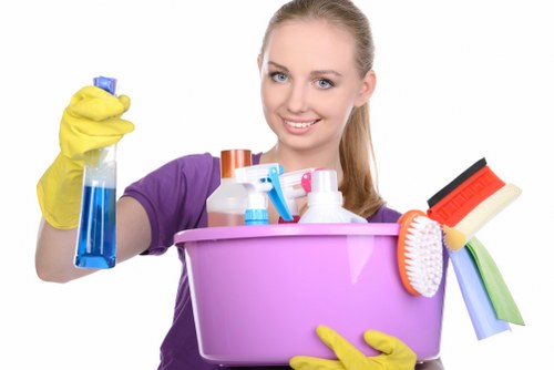 Deep cleaning support for pet accidents in a Queenspark property