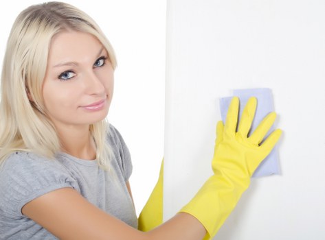 Professional treatment for pet urine stains and lingering odour in Queenspark