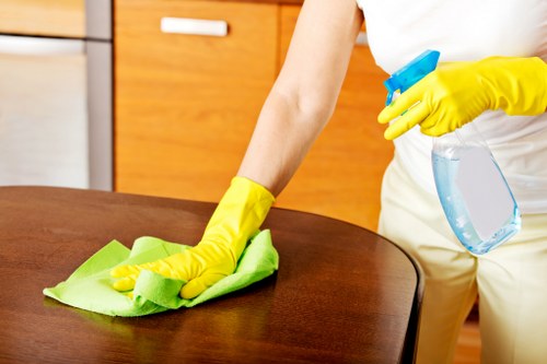 Local cleaner providing scheduled cleaning service in Queenspark